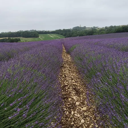 בית אירוח Bosc *