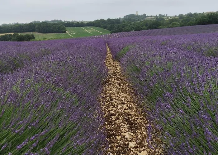 Rum i privatbostad Bosc *